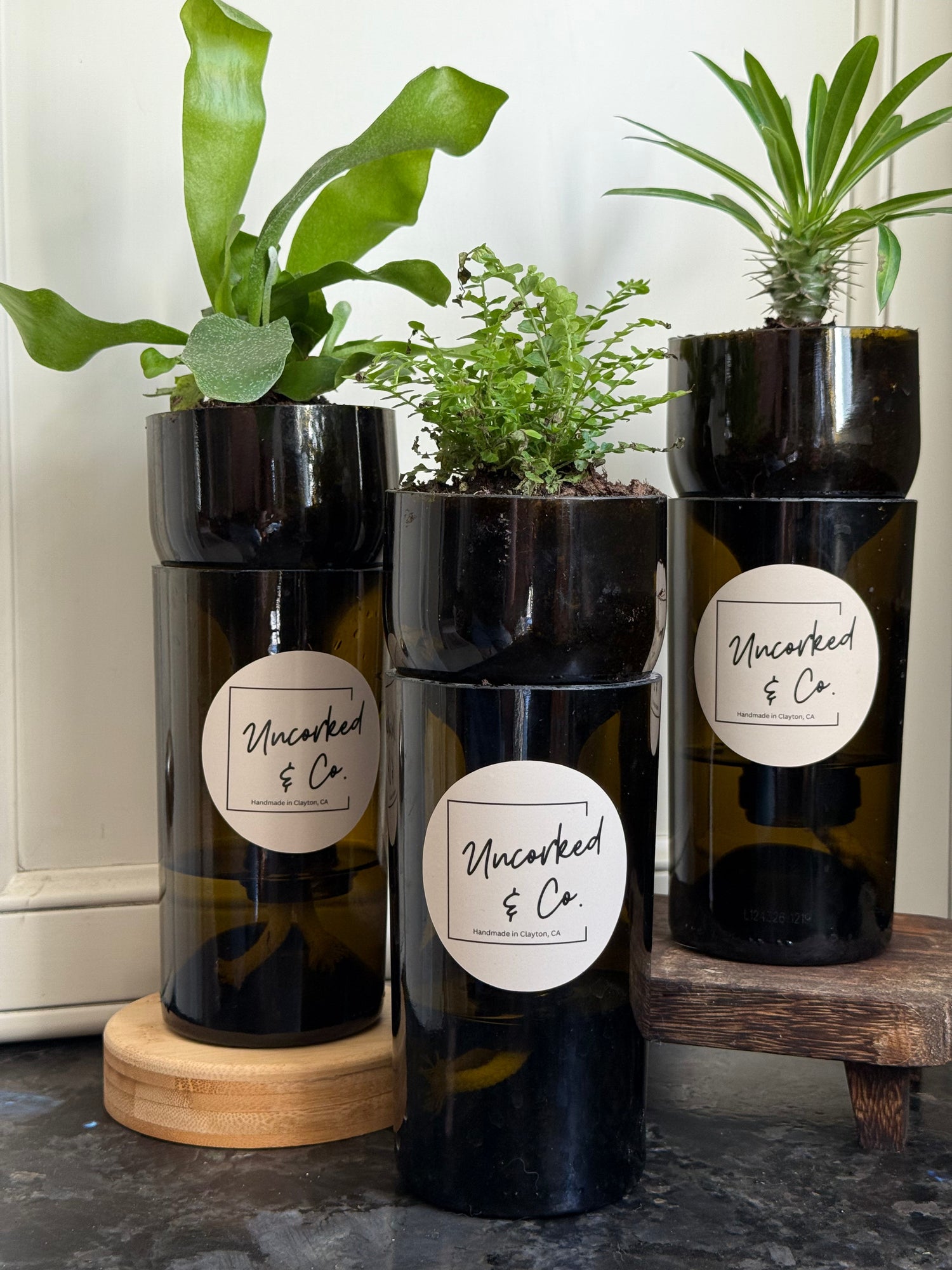 Self Watering Planter