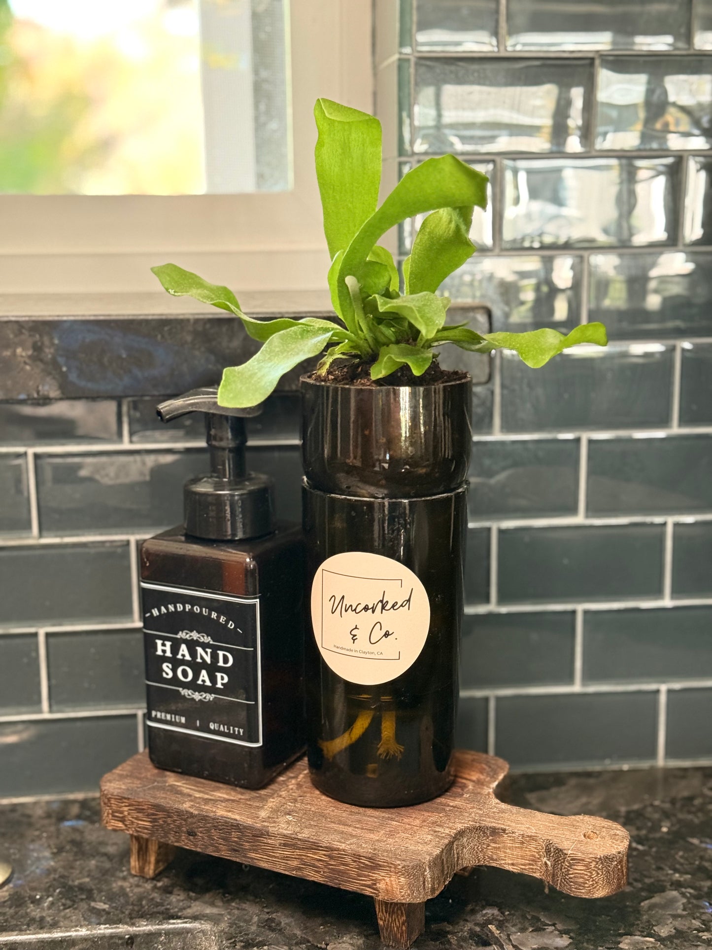 Self Watering Planter